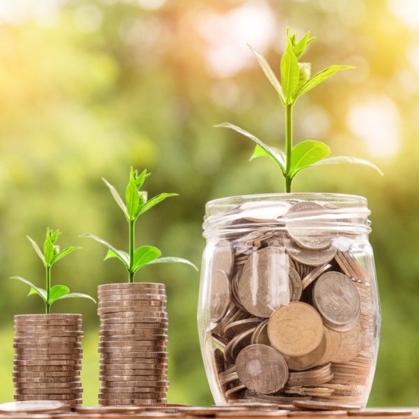 Coins with plants growing