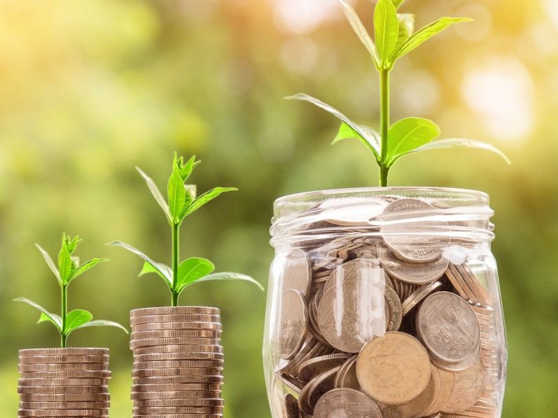 Coins with plants growing