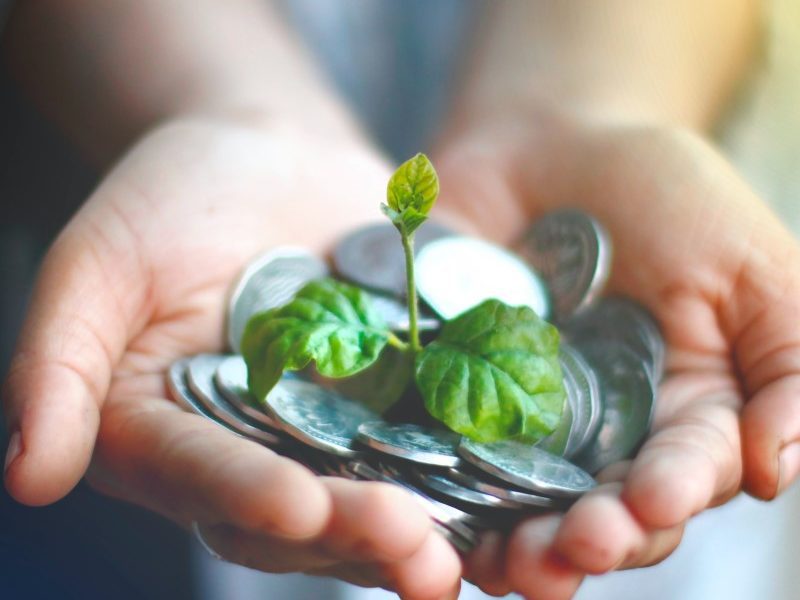 Hands holding coins with plant growing out